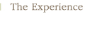 The Experience